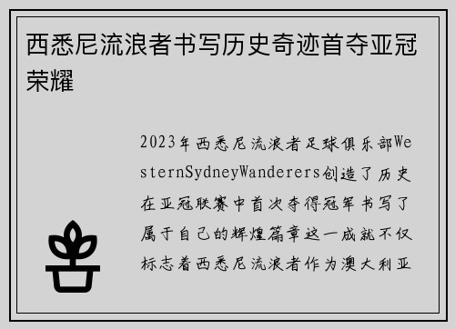 西悉尼流浪者书写历史奇迹首夺亚冠荣耀 西悉尼流浪者书写历史奇迹首夺亚冠荣耀